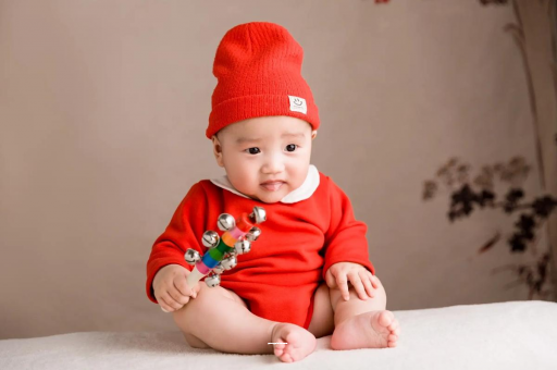 宁夏宝宝是从哪里来的 宁夏宝宝是从哪里来的